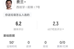 费兰半场数据：3射门1射正1中框 丢失球权14次 地面对抗6成功0-xr