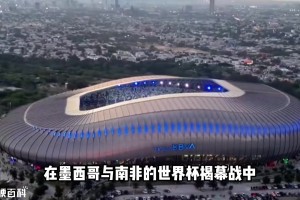 新西兰vs埃及直播s0_新西兰vs埃及直播在线观看_免费观看新西兰vs埃及直播