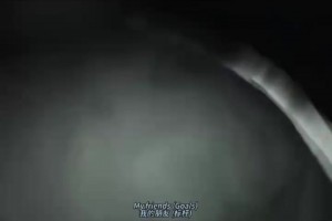 伊拉克vs挪威直播re_伊拉克vs挪威直播在线观看_免费观看伊拉克vs挪威直播