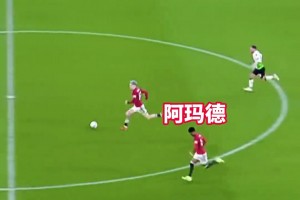 新西兰vs比利时直播yq_新西兰vs比利时直播在线观看_免费观看新西兰vs比利时直播